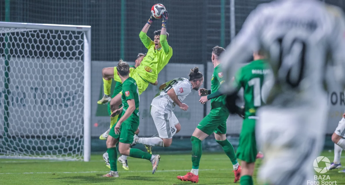 Fot. BAZA Foto Sport - Piotr Szaraniec