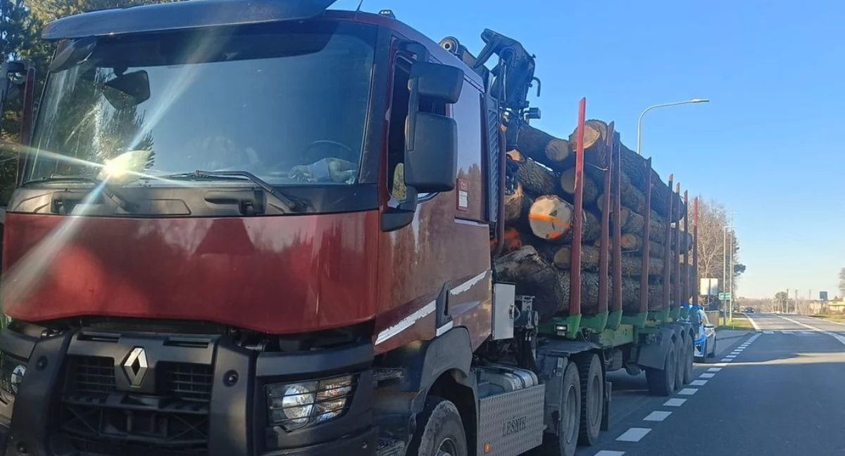 Po kontroli kierowca zabepizcezył drewno (fot. KPP Starachowice)
