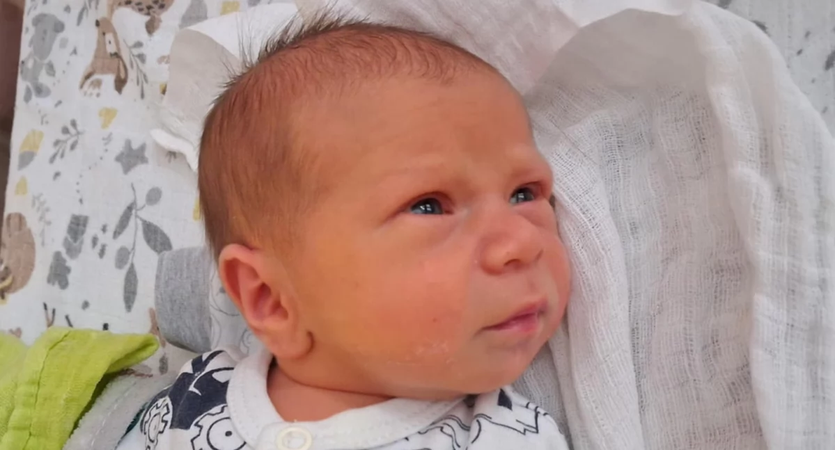 Noworodki, przyszedł świat LISTOPADA - zdjęcie, fotografia