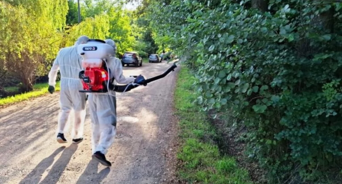 Opryski w Skarżysku-Kamiennej fot. UM Skarżysko