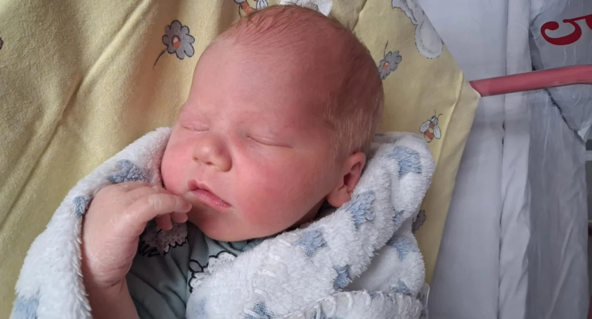 Noworodki, Uroczy chłopiec świecie - zdjęcie, fotografia