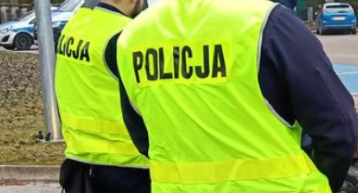 Kronika policyjna, kradzież świń odpowiedzą przed sądem - zdjęcie, fotografia