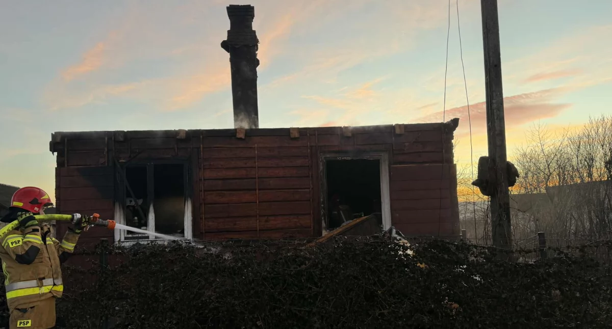 fot. Monika Wolińska