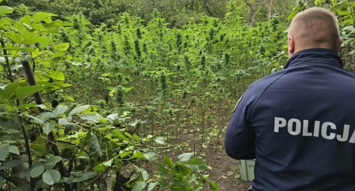 Fot. KPP w Starachowicach