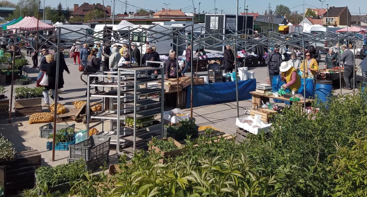 Kronika policyjna, Uważajmy złodziei - zdjęcie, fotografia