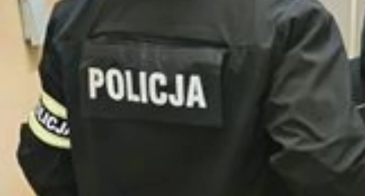 Kronika policyjna, Inwestycja sieci kosztowała sporo latka powiatu starachowickiego - zdjęcie, fotografia