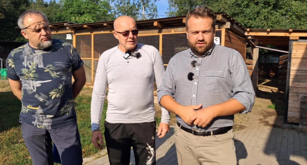 W okresie letnim apelowaliśmy o adopcje bezdomnych kotów, których w schronisku w Rudniku było pod dostatkiem 