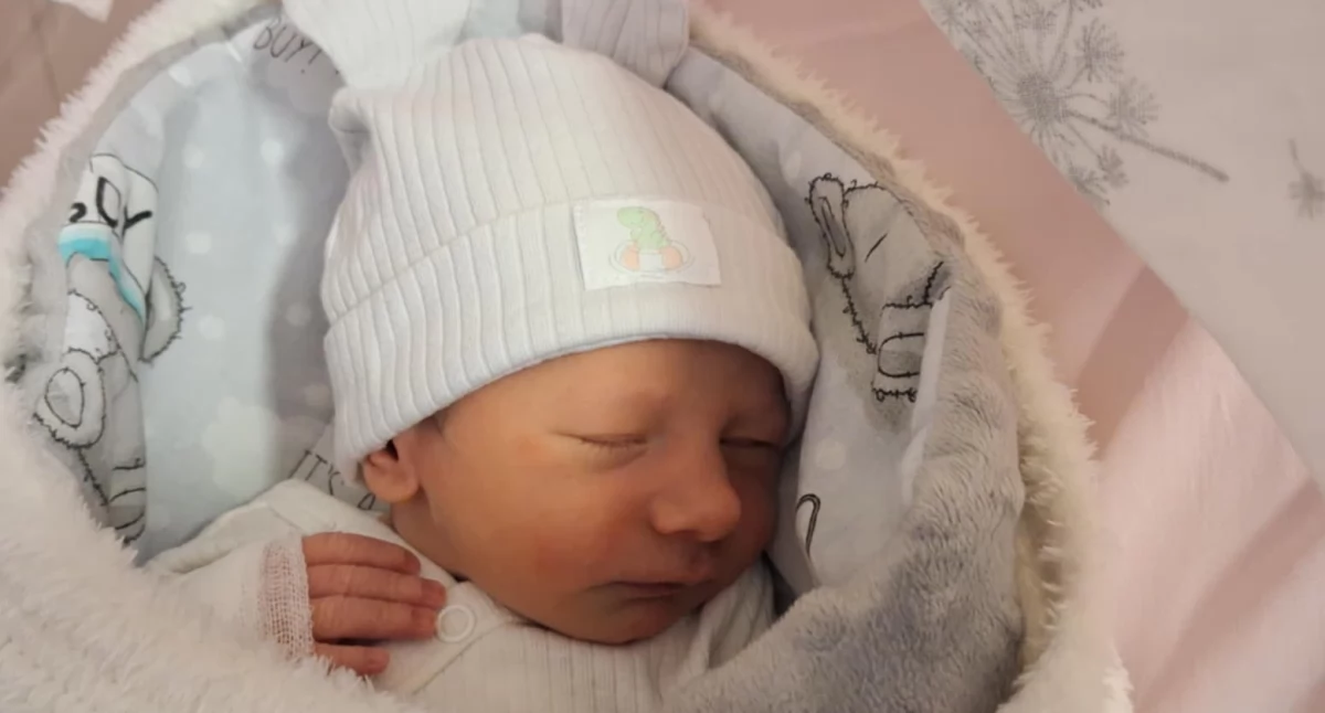 Noworodki, Uroczy Maluch świecie - zdjęcie, fotografia