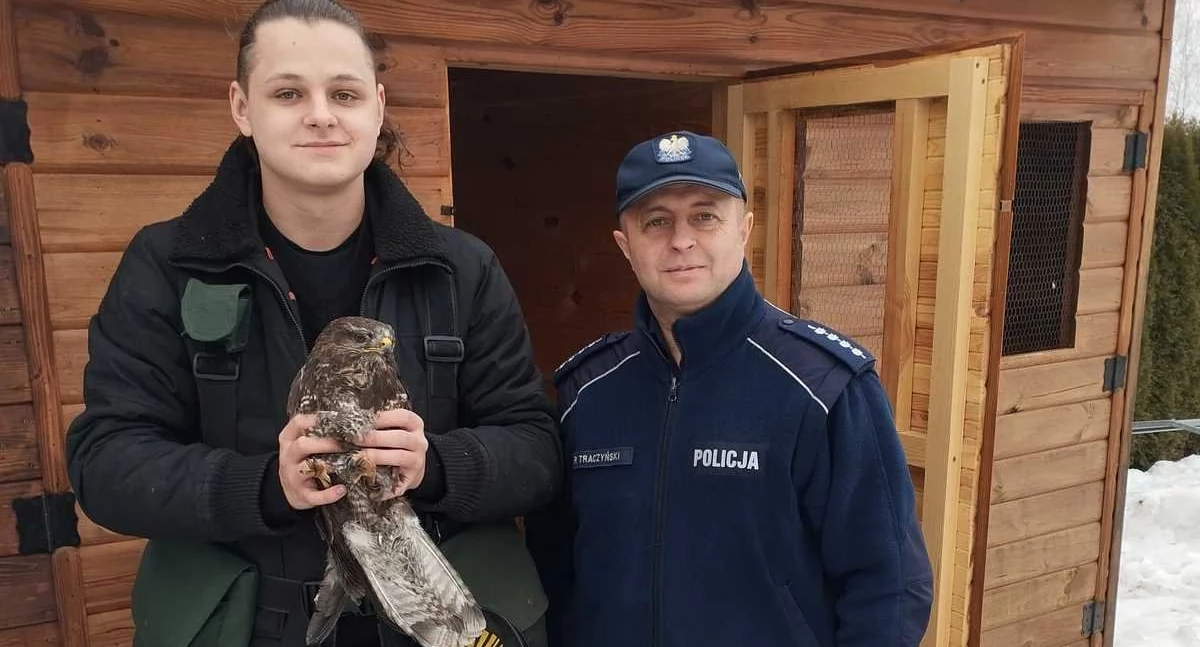 Policja przekazała rannego myszołowa w ręce przyszłego leśnika (fot. KPP Ostrowiec Św.)