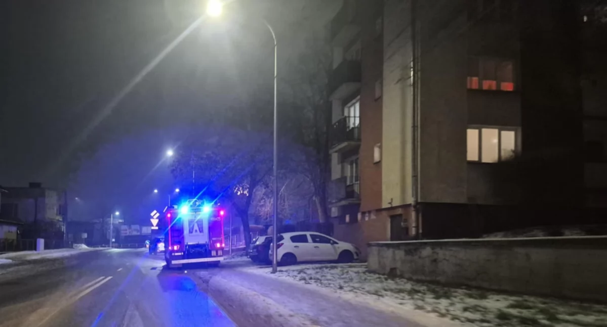 Straż Pożarna, Ptaszek uwięzi straż idzie pomocą - zdjęcie, fotografia