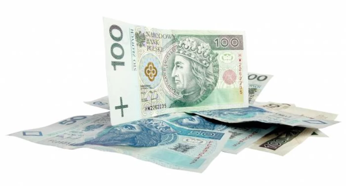 Organizacje pozarządowe, Pieniądze sport kulturę profilaktykę Miasto rozdzieliło dotacje organizacji - zdjęcie, fotografia