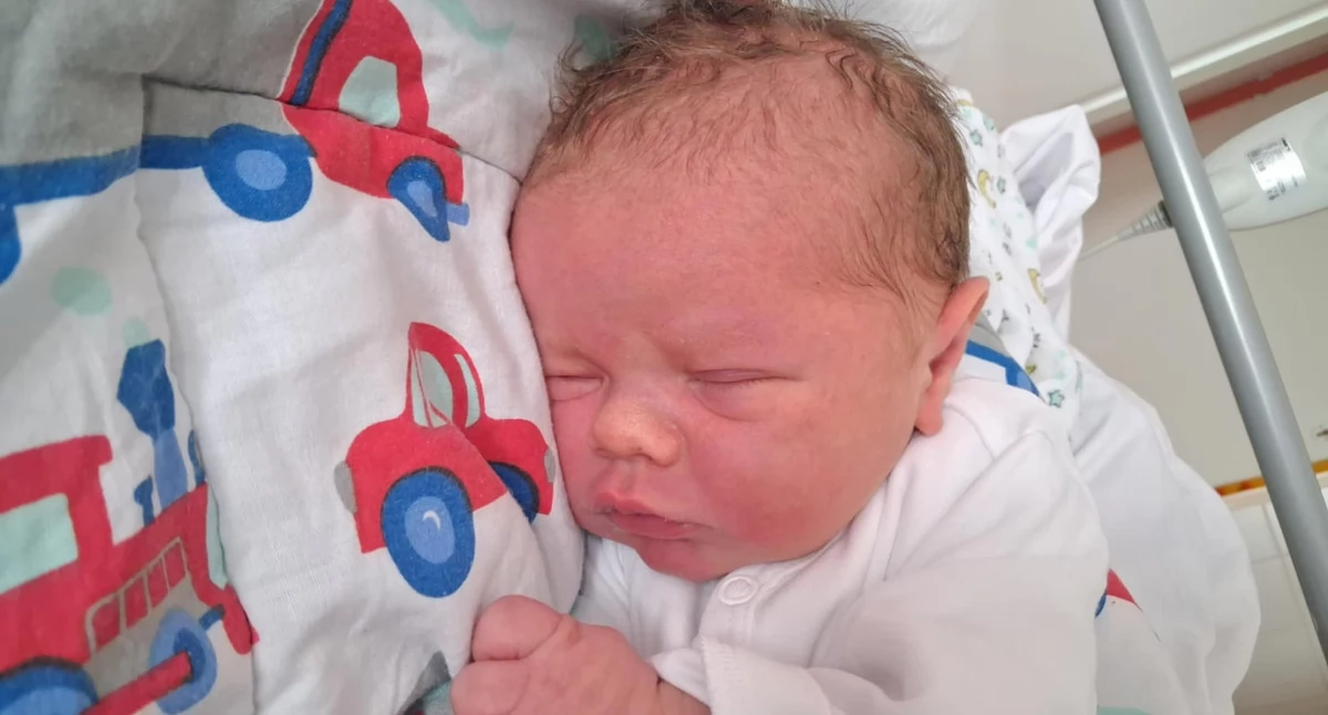 Franciszek Flakiewicz