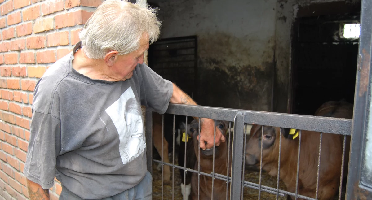Pomagamy, Ruszyła zbiórka karmy zwierząt Waldka - zdjęcie, fotografia