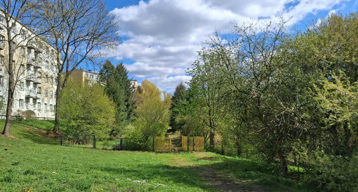 Zakrzaczony teren czeka na swój czas... 