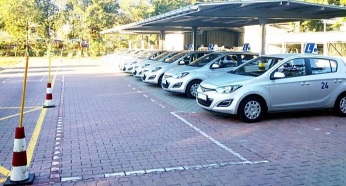 Komunikaty i ogłoszenia, Darmowe kursy prawa jazdy wszystkich - zdjęcie, fotografia