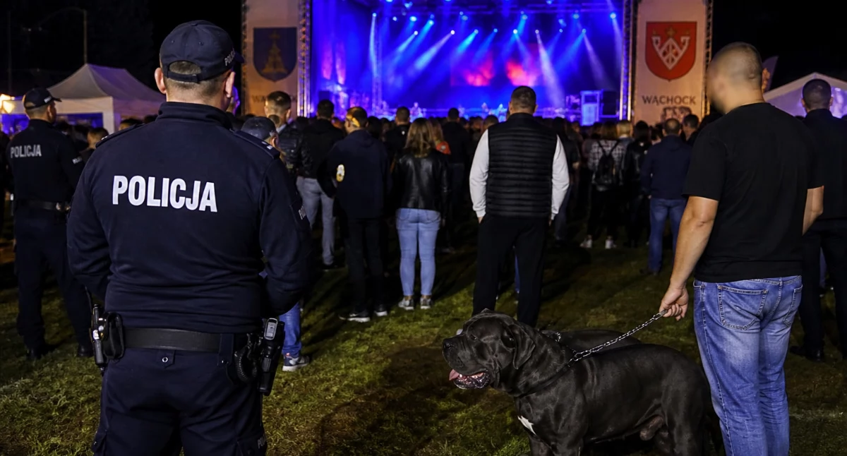 fot. wygenerowane przez AI