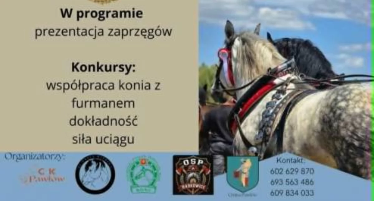 Wydarzenia, Świętokrzyskie Zawody Furmanów Pawłów - zdjęcie, fotografia