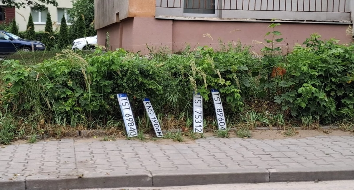 Interwencje, Zagubione tablice czekają właścicieli - zdjęcie, fotografia