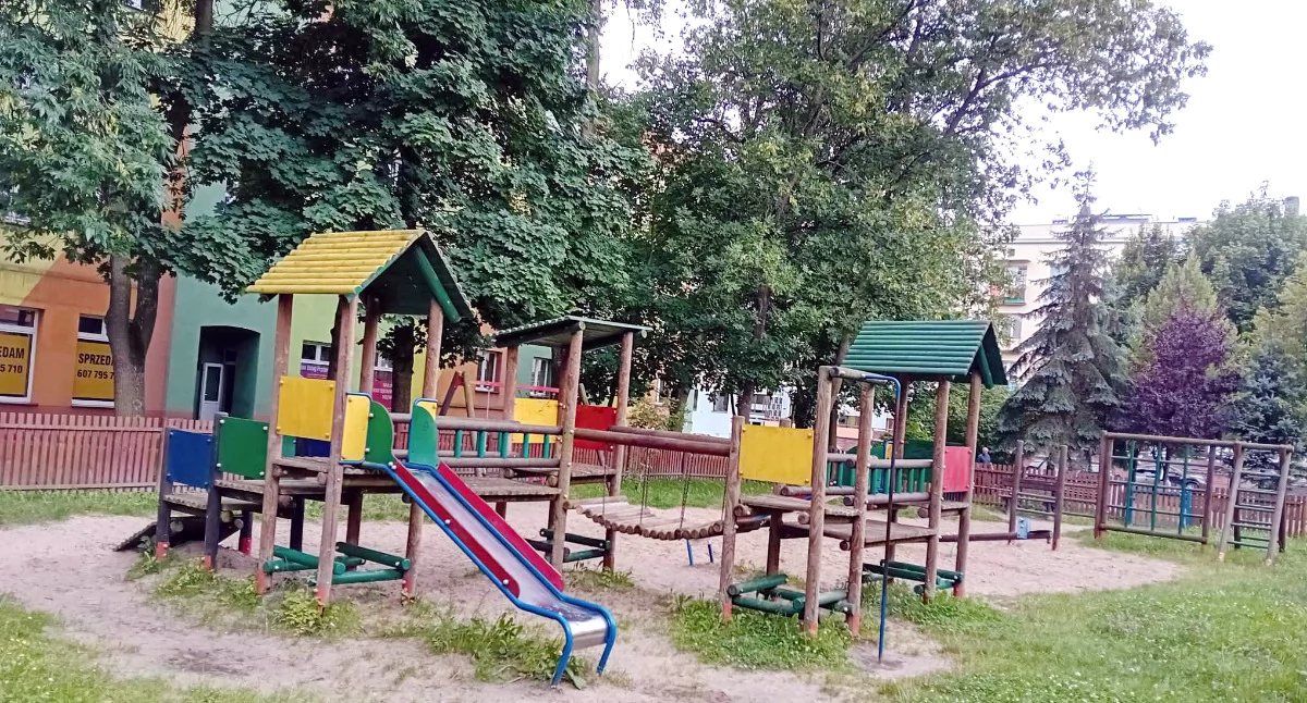 Interwencje, Niebezpieczne drzewa Żeromskiego strach pomyśleć gdyby konar spadł dzieci - zdjęcie, fotografia