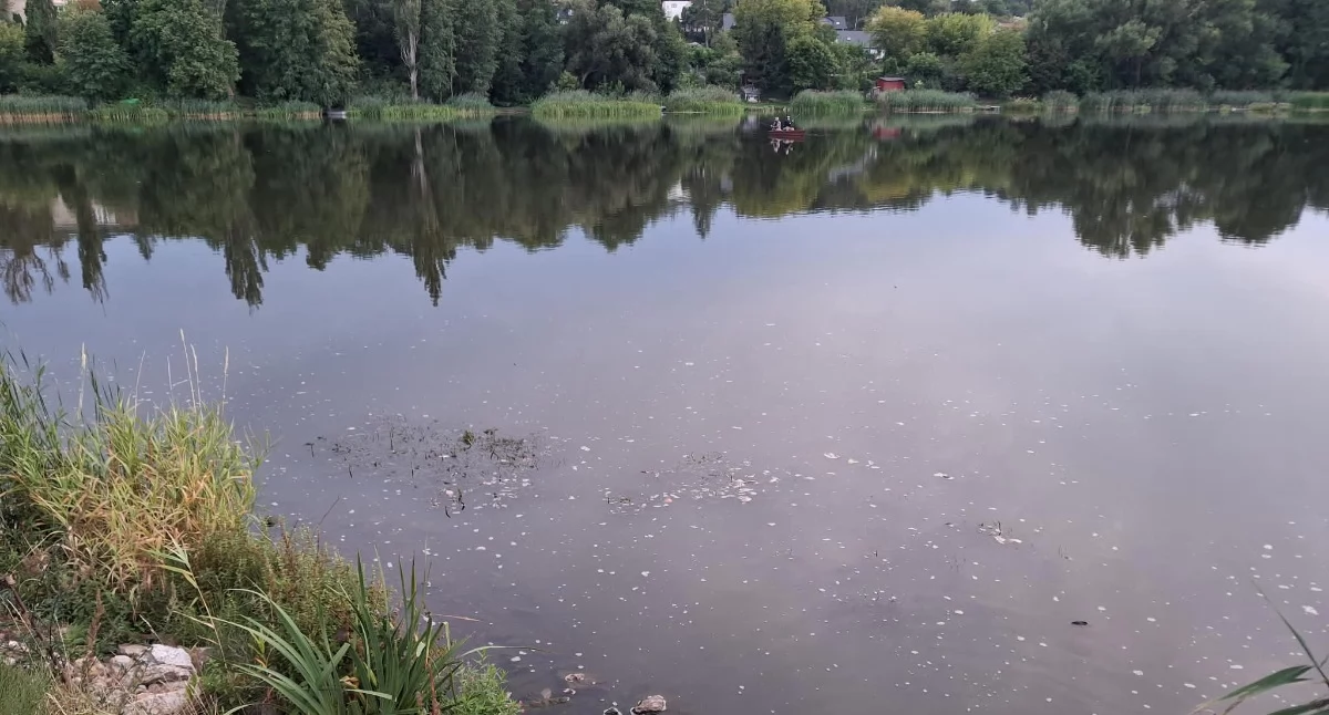 Ekologia, Pomór małż Pasternikiem! Gmina Starachowice zabrała głos! - zdjęcie, fotografia