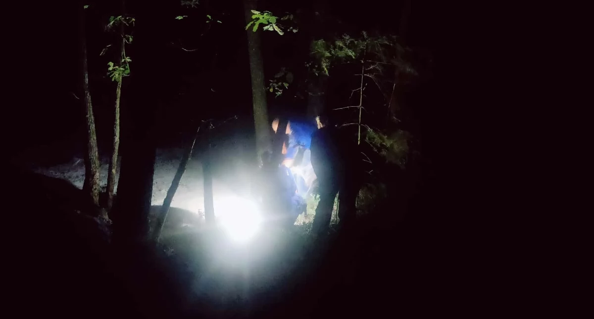 Interwencje, Tajemnicza substancja lesie Nadleśnictwo wydało oświadczenie - zdjęcie, fotografia