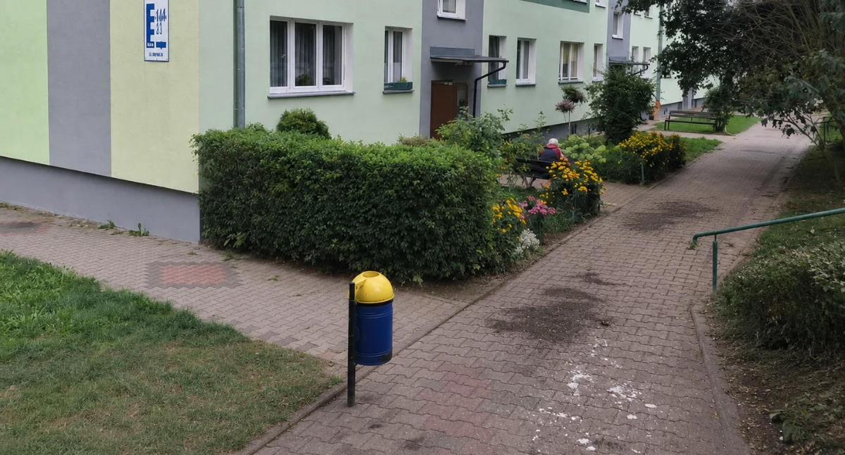 Interwencje, Uporczywe dokarmianie gołębi Górnej zrobi porządek - zdjęcie, fotografia