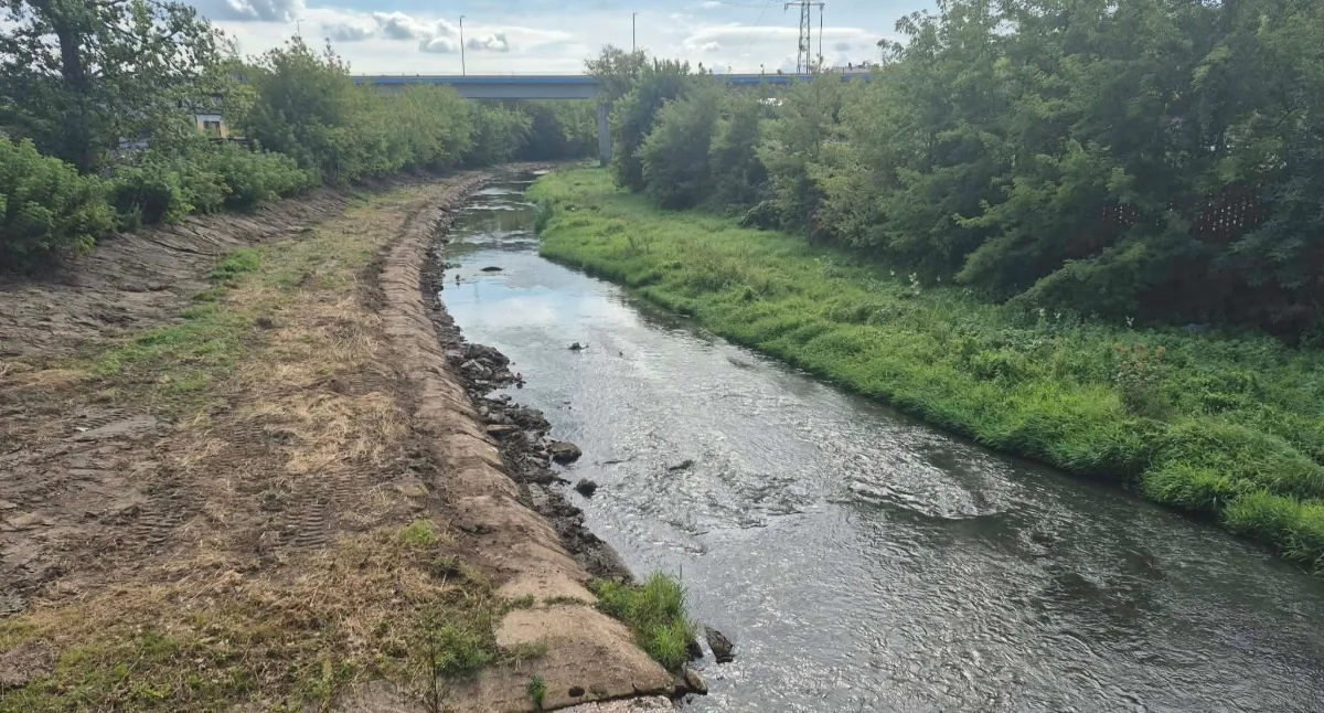 Interwencje, Czytelnicy Starachowic interweniują Czyszczą Kamienną szkodzą środowisku - zdjęcie, fotografia