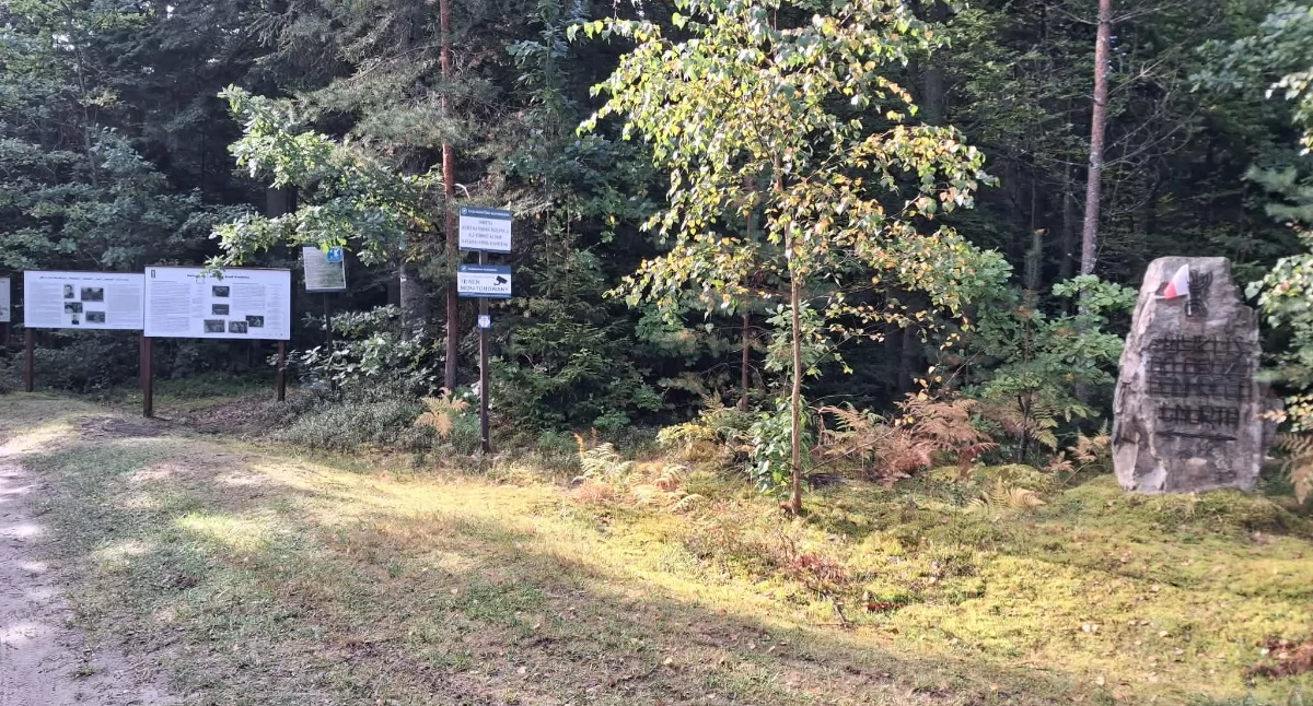 Wejście na polanę Wykusową 