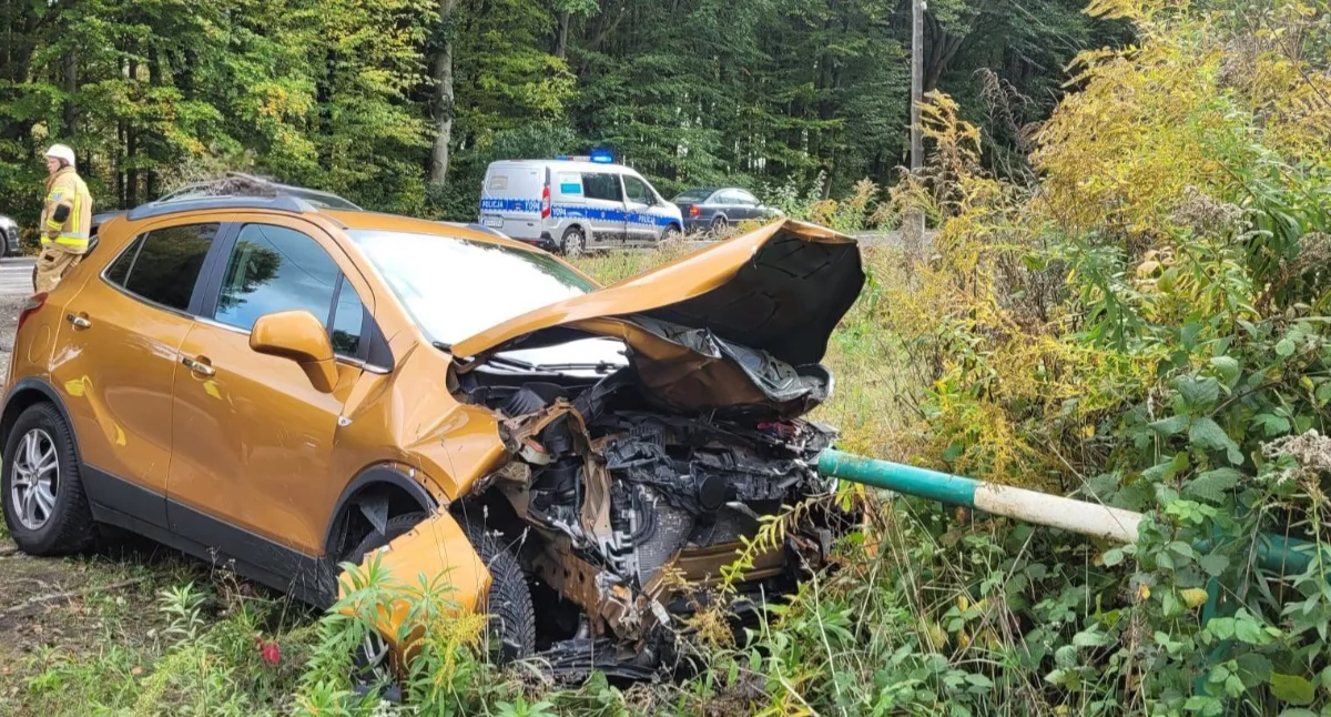 Wypadek na drodze ze Starachowic do Iłży. Fot. Policja Radom