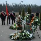 Fotka nr 5 z 7