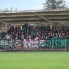 Fotka nr 2 z 11