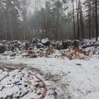 zdjęcie nr 8