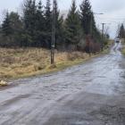 zdjęcie nr 8