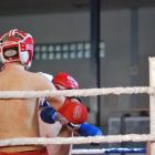 DSC-0502