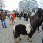 zdjęcie nr 9