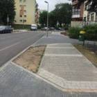 zdjęcie nr 8