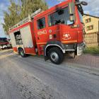 Fotka nr 2 z 4