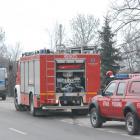 zdjęcie nr 10