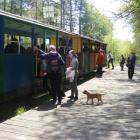 zdjęcie nr 8