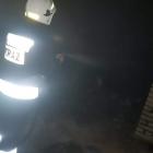 82732549-178932743482141-9077641198046281728-n