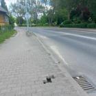 Fotka nr 3 z 4