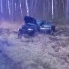 Fotka nr 1 z 2