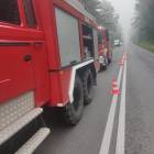 Fotka nr 1 z 2