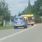 Fotka nr 3 z 4
