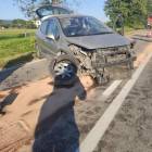 Fotka nr 1 z 2