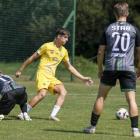 Fotka nr 2 z 10