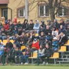 zdjęcie nr 14