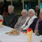zdjęcie nr 37