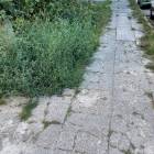 Fotka nr 4 z 5