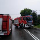 zdjęcie nr 8